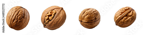Single walnut Hyperrealistic Highly Detailed Isolated On Transparent Background Png File photo