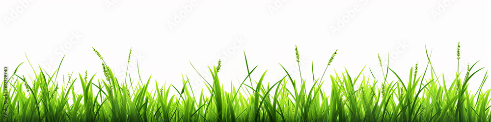 Fototapeta premium a row of 3d green grass on a white background.