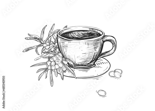 Hand drawn sketch black and white illustration cup of tea sea buckthorn, leaf, berry. Vector illustration. Elements in graphic style label, sticker, menu, package. Engraved style.