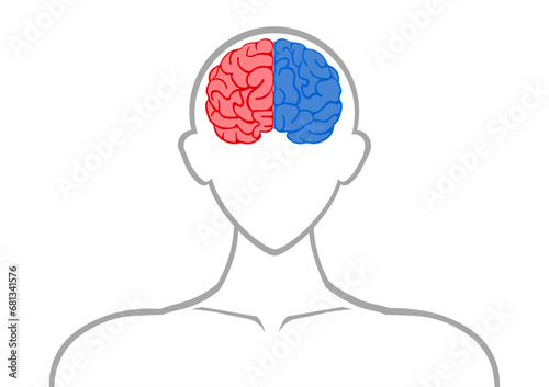 人間の右脳と左脳 photo