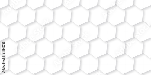 Fototapeta Naklejka Na Ścianę i Meble -  Background with lines hexagon and Abstract background hexagonal, modern abstract vector polygonal pattern. Futuristic abstract honeycomb technology white background. Luxury white hexagon pattern.