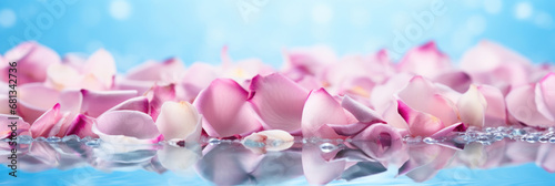 Pink roses petals on a blue bokeh background.