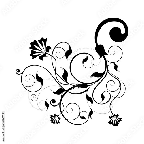 Vector floral calligraphy element flourish
