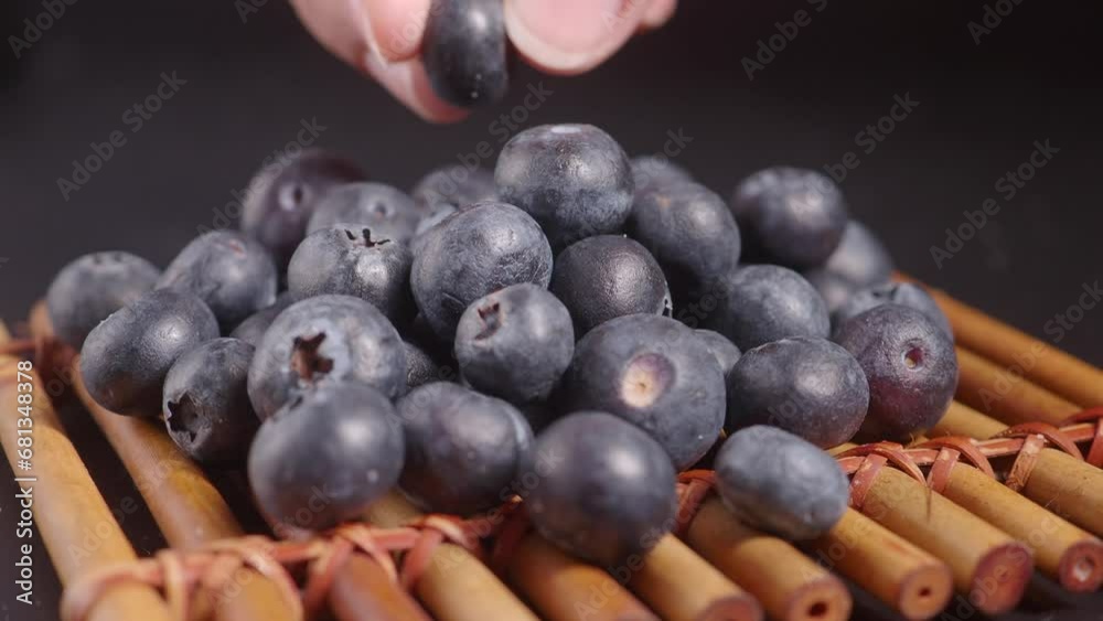 hand pick fresh blue berry on black background hand pick fresh blue berry on black background