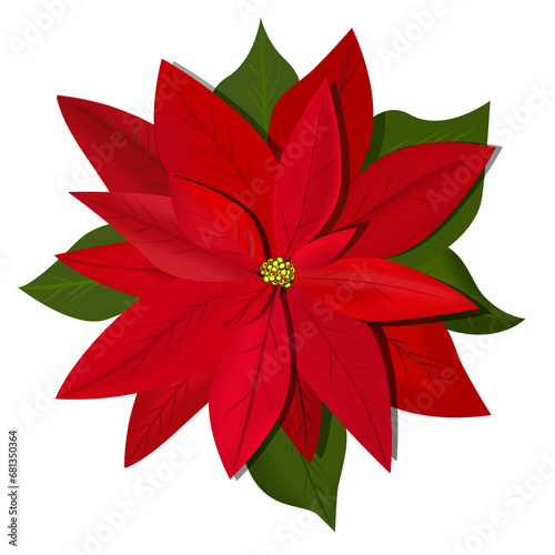 Flor de Pascua ilustración en 3D