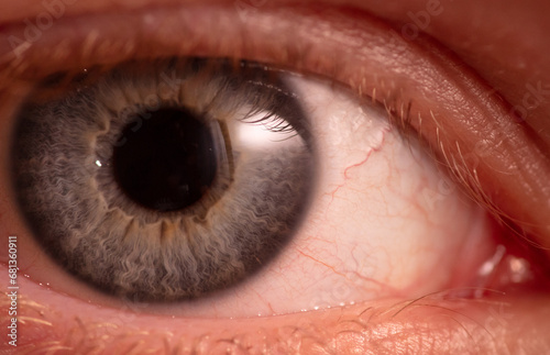 Close up of a blue eye. Macro