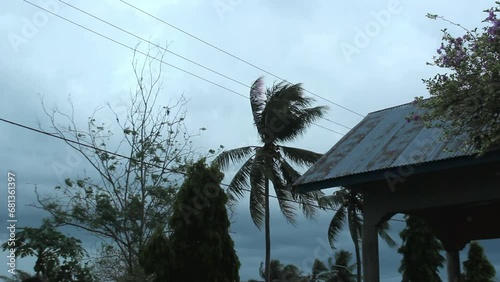 black clouds before the rain with trees swaying in the wind during the day