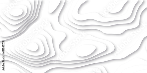 Abstract white paper cut background with lines. Background of the topographic map. White wave paper curved reliefs abstract background. Realistic papercut decoration textured with wavy layers.