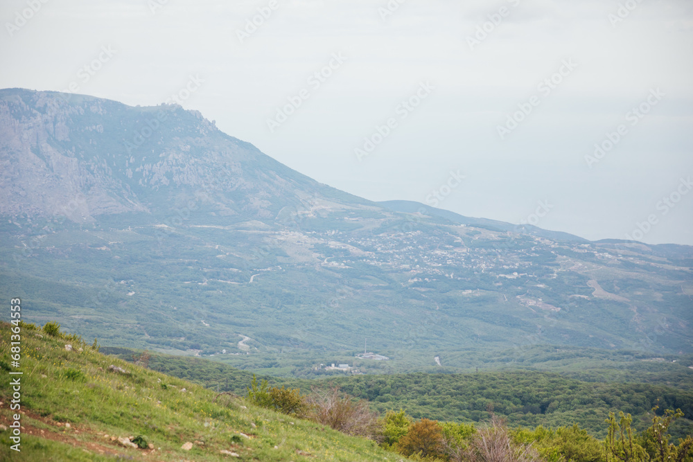 green forest high beautiful nature mountains travel hiking green forest high beautiful nature mountains travel hiking