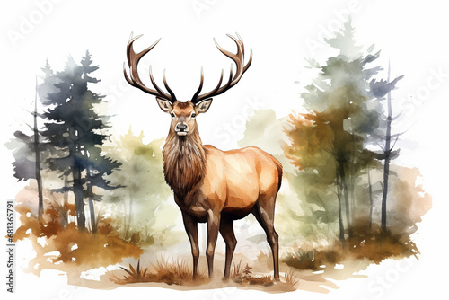 a deer in nature in watercolor art style © Yoshimura