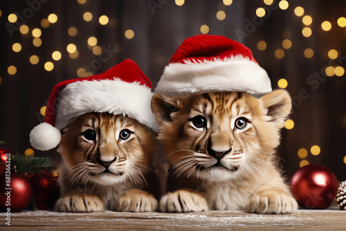 Baby lions wearing a Santa Claus hat on isolated Christmas party background © Atchariya63