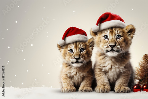 Baby lions wearing a Santa Claus hat on isolated Christmas party background