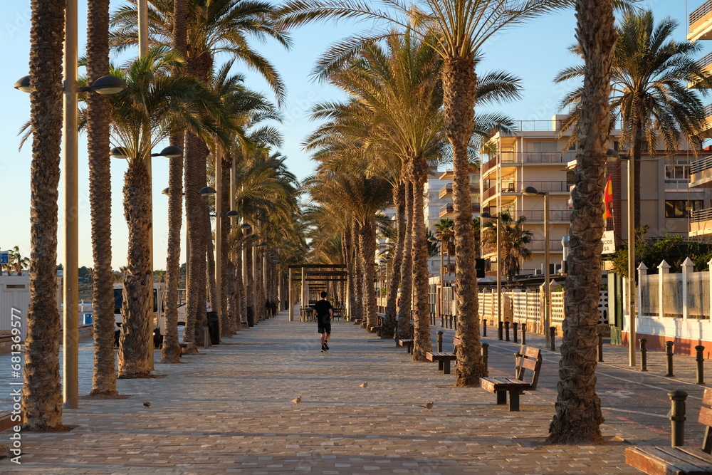 athlete on a palm alley on the promenade in Spain on a sunny day athlete on a palm alley on the promenade in Spain on a sunny day