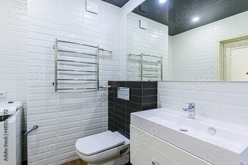 interior apartment room bathroom  sink  decorative elements  toilet