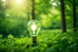Green energy concept. Light bulb in the forest. Eco energy concept.