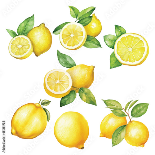 Set of Watercolor Lemons Illustration 