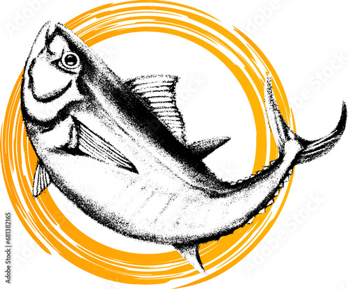 リアルで和風なマグロのイラスト