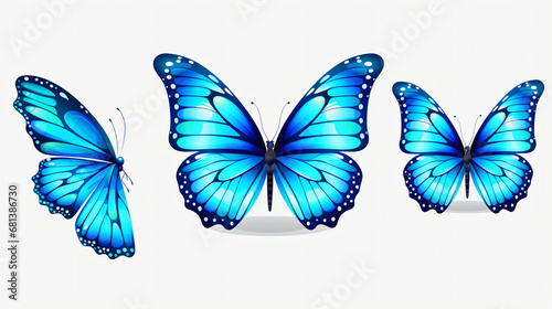 Beautiful blue butterflies © Ideas