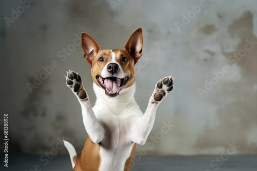 Adorable Brown and White Dog Smiling and Spreading Cheer photo