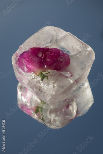 ice cube with pink rose flower on mirror  photo