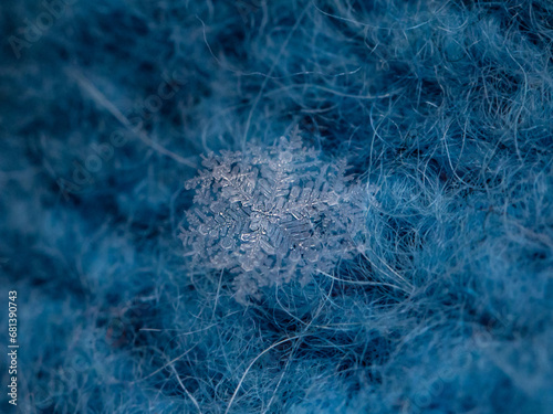 macroscopic image of a snowflake, macro photography of a snowflake