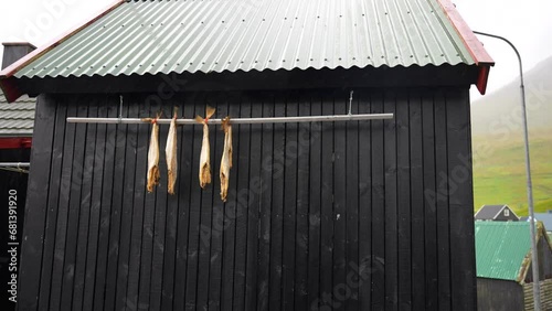 Stockfish drying in Gjogv, traditional Faroese preservation technique in Eysturoy photo