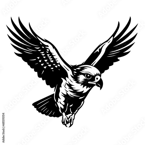 Falcon Flying photo