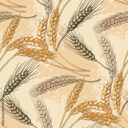 Wheat Agriculture Seamless Pattern. Wheat hand-drawn vector illustration for background of bread label design, bakery packaging. Homemade cooking banner. Cooking courses banner.