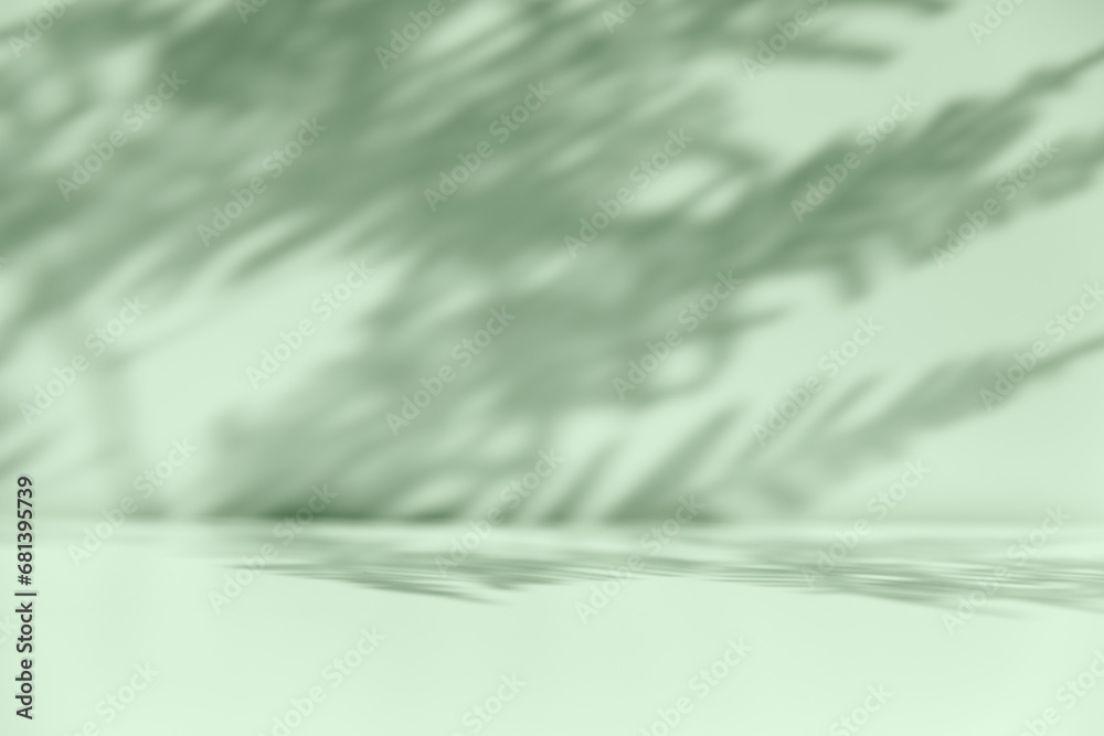 Obraz premium Palm leaf shadow overlay. Minimalist shadow overlay for product placement.