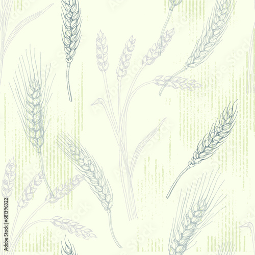 Wheat Agriculture Seamless Pattern. Wheat hand-drawn vector illustration for background of bread label design  bakery packaging. Homemade cooking banner. Cooking courses banner.