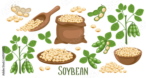 Set of soybeans. Soybean plant, soybeans in pods, in a canvas bag, bowl and wooden spoon. Food, agriculture. Illustration, vector