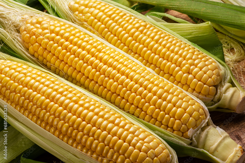Ripe corn heads with corn whiskers and leaves. Ripe corn heads with corn whiskers and leaves.