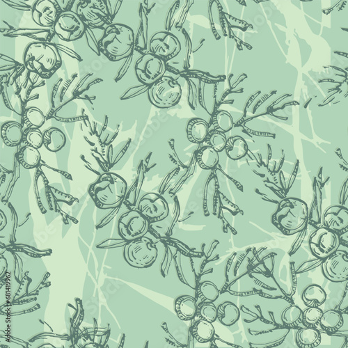Seamless pattern with juniper: berries juniper and a branch. Cosmetics and medical plant. Hand drawn illustration Vintage holiday decor.