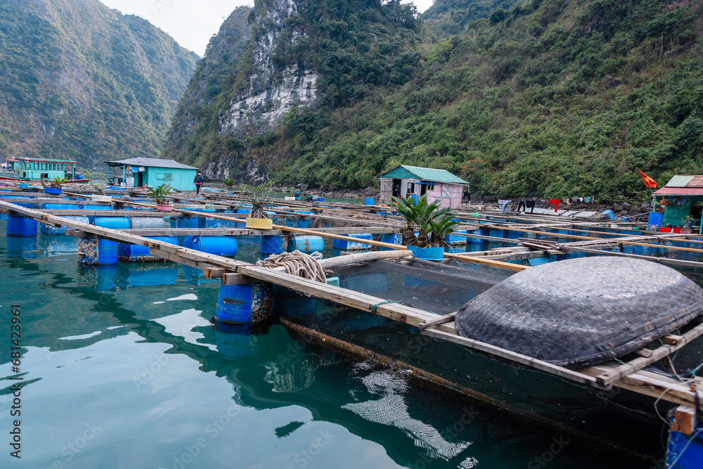 Fish farm at the Cua Van floating village, Halong Bay, Vietnam