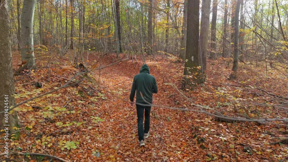 Forest wanderer in green, climbing a leaf-covered path as the low sun paints long, dramatic shadows around him. Forest wanderer in green, climbing a leaf-covered path as the low sun paints long, dramatic shadows around him.