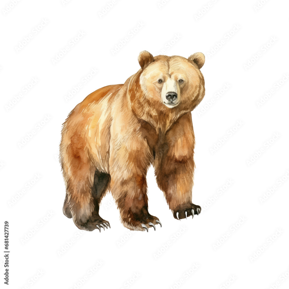 Bear watercolor illustration brown grizzly bear. hand down painted on a white background. PNG 300DPI clipart isolated Bear watercolor illustration brown grizzly bear. hand down painted on a white background. PNG 300DPI clipart isolated