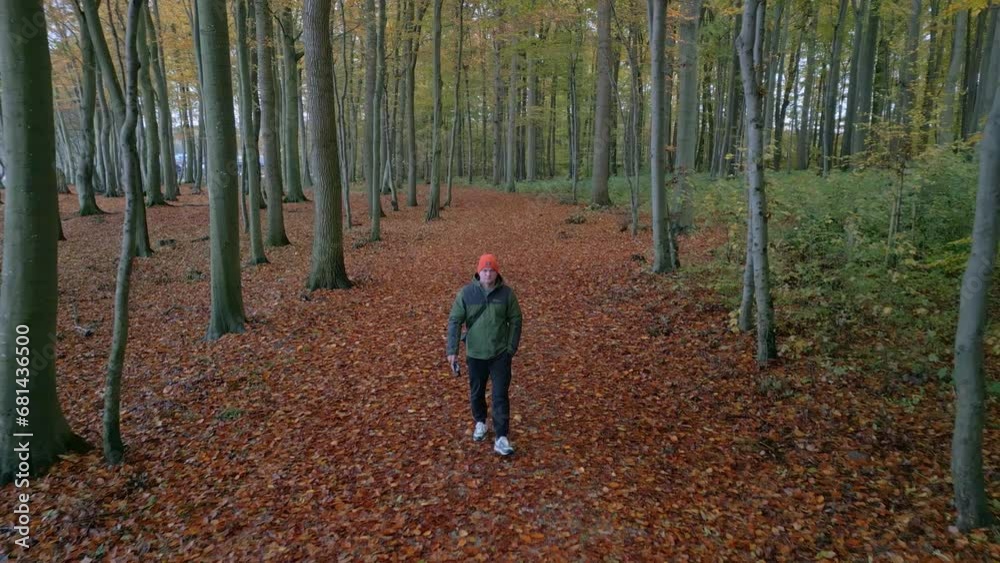 A man walks along a path in the autumn forest. The leaves are yellow-red. Deep autumn. The camera follows the subject. A man walks along a path in the autumn forest. The leaves are yellow-red. Deep autumn. The camera follows the subject.