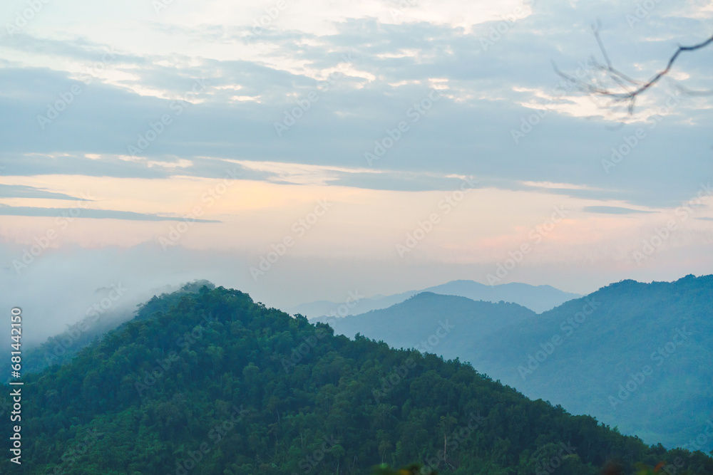 Fototapeta premium landscape with fog