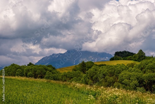 Meadow full of beautiful mountain flowers in the background of the High Tatras mountains. Discover the spring beauty of the mountains. © Ivan