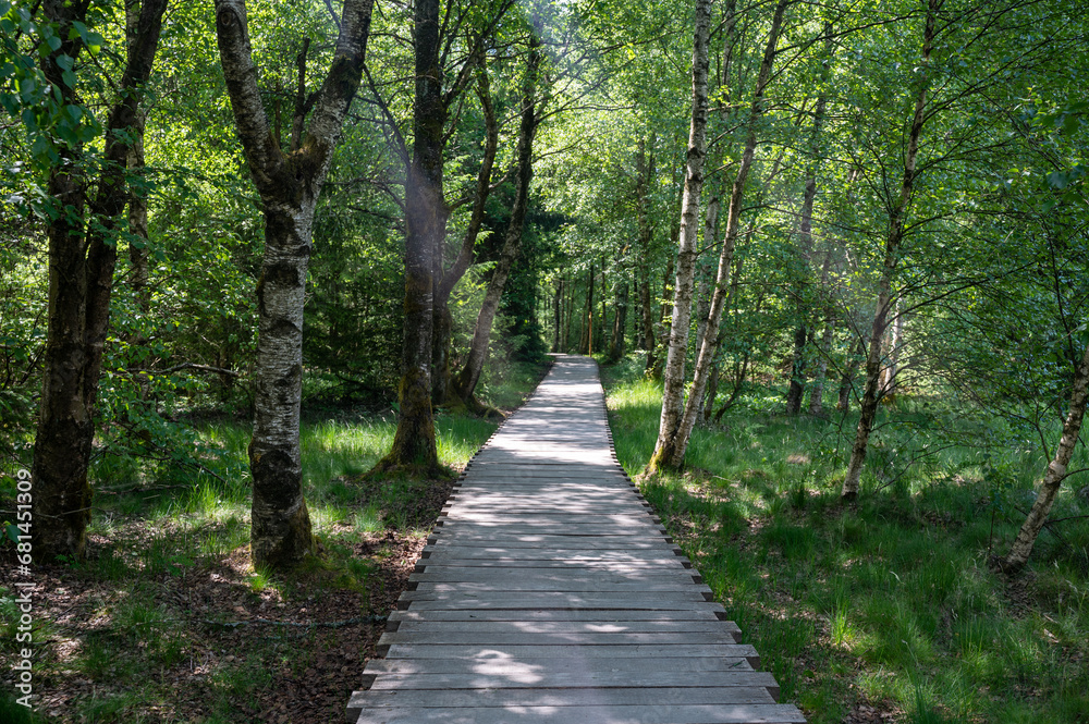 Black moor with a new wooden path