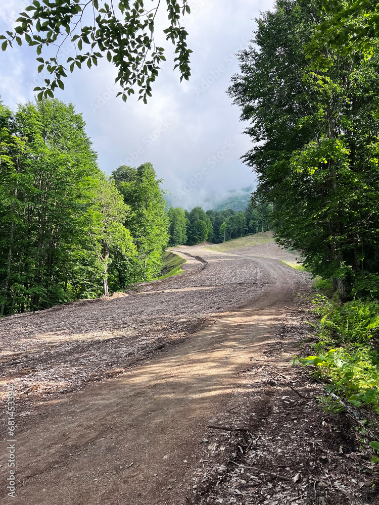 Fototapeta premium mountain walk on a sunny summer day