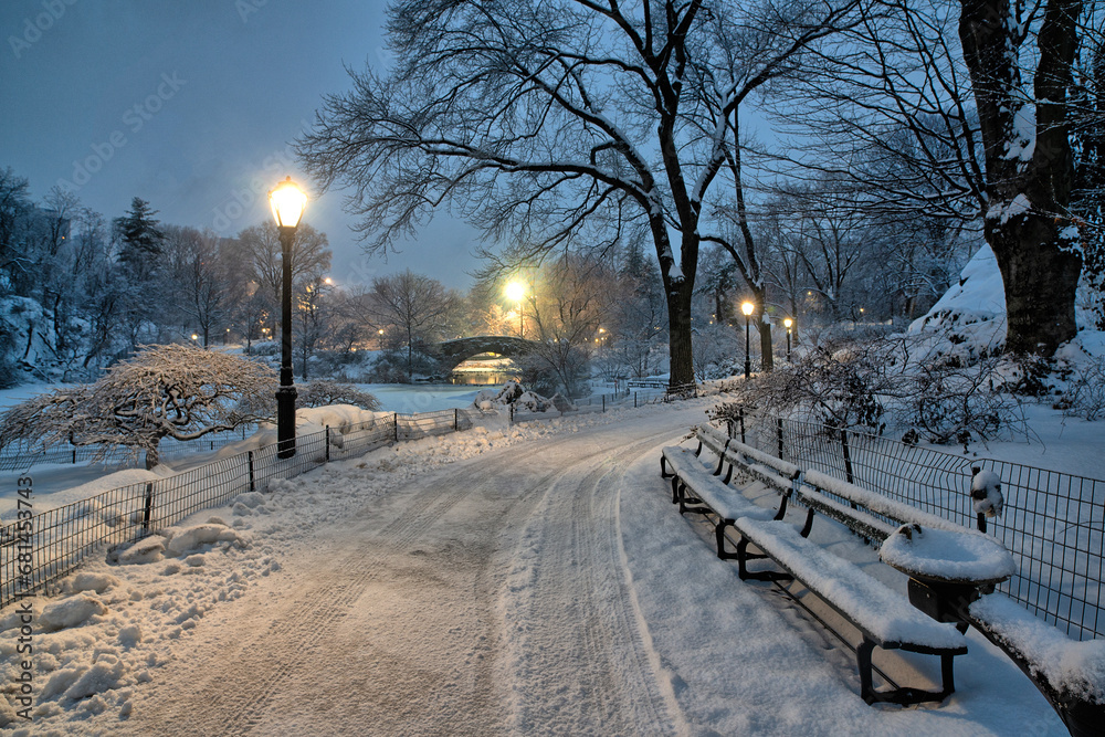 Central Park in winter  after snow