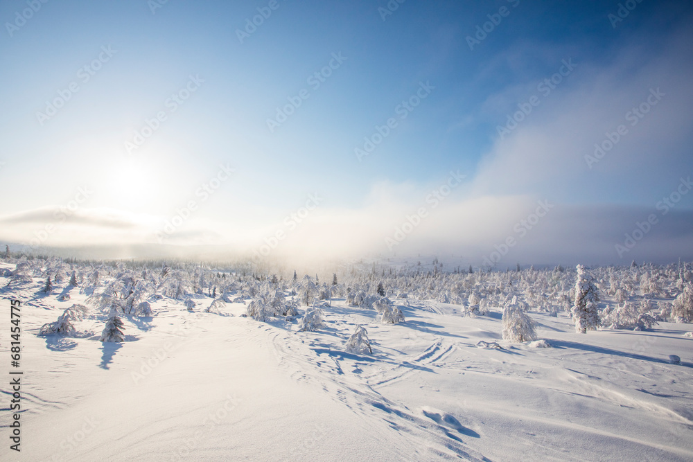 Winter landscape in Pallas Yllastunturi National Park, Lapland, Finland Winter landscape in Pallas Yllastunturi National Park, Lapland, Finland