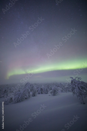 Northern lights in Pallas Yllastunturi National Park  Lapland  Finland