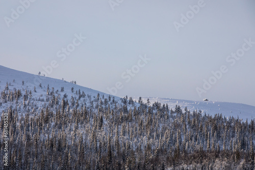 Winter landscape in Pallas Yllastunturi National Park  Lapland  Finland