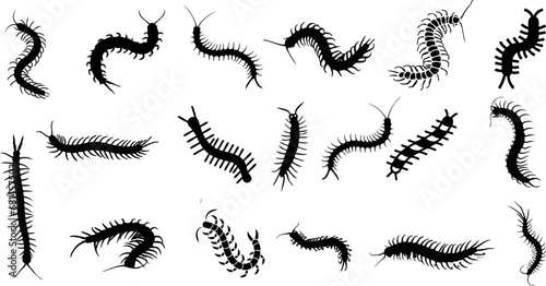 centipedes, millipedes, and worms vector illustration in various poses and sizes. Perfect for nature, wildlife, and garden themes. Great for graphic design, art, abstract, silhouette, drawing photo