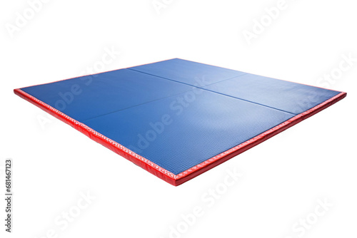 Training Mat in Whiteness on a transparent background