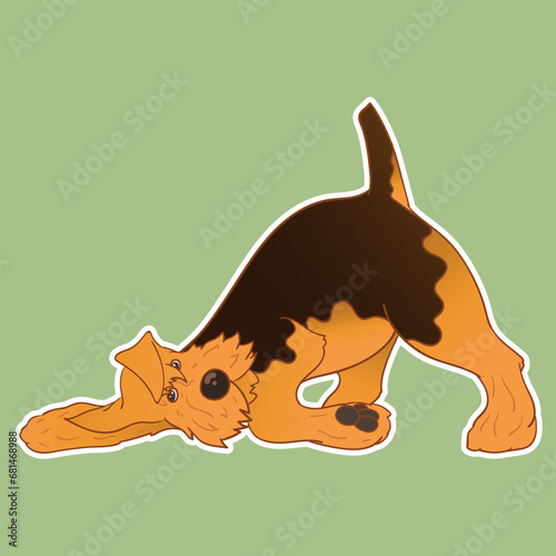 Sticker dog. Airedale Terrier. Funny sticker with a dog. Cartoon style. Set of stickers. Cartoon character for comics and postcards