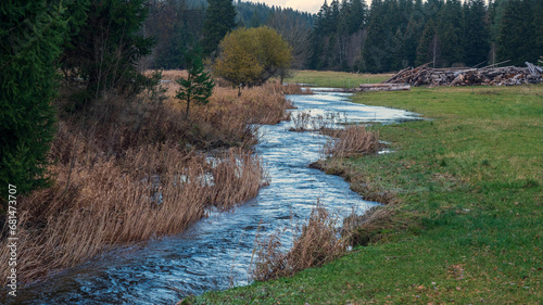 Gutach Hochwasser photo