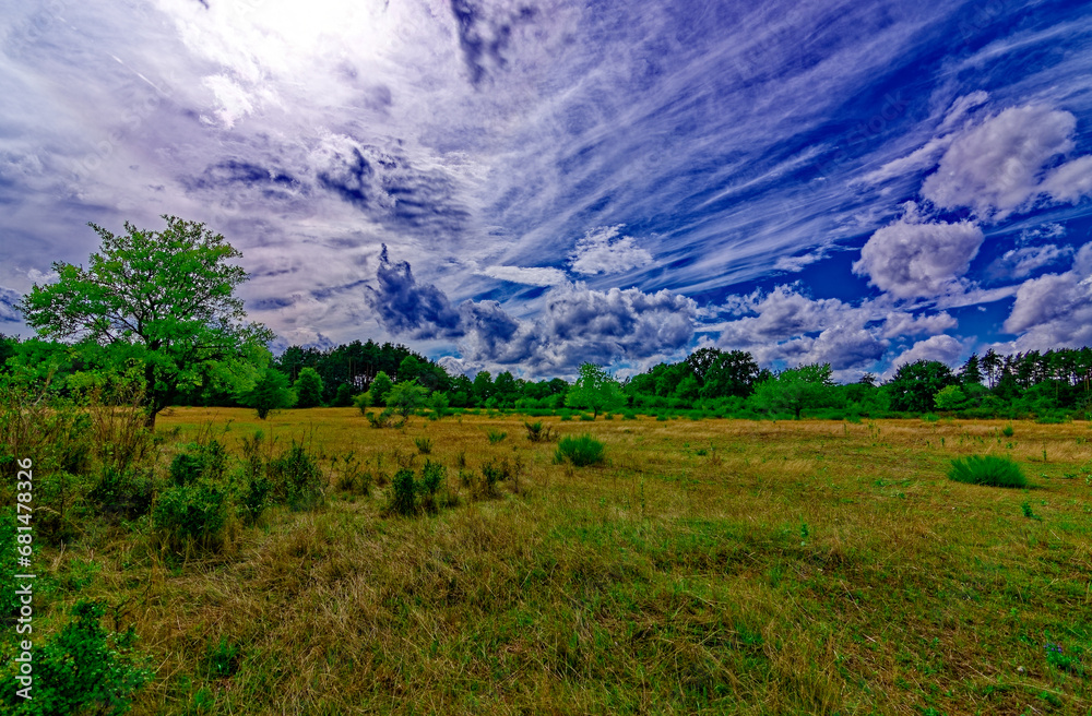 Fototapeta premium beautiful autumn day in Nuremberg